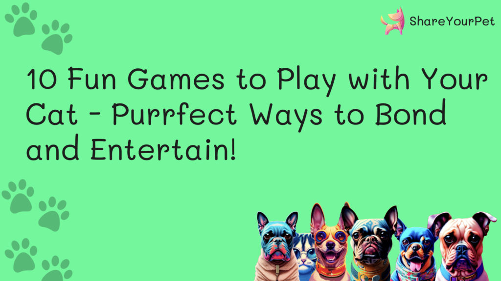 10 fun games to play with your cat – purrfect ways to bond and entertain!