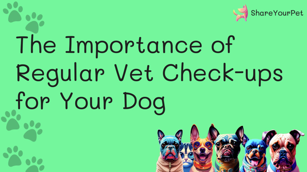 the importance of regular vet check ups for your dog