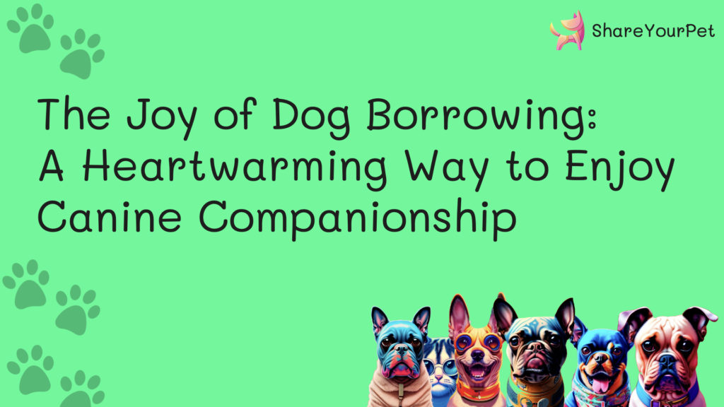 the joy of dog borrowing a heartwarming way to enjoy canine companionship