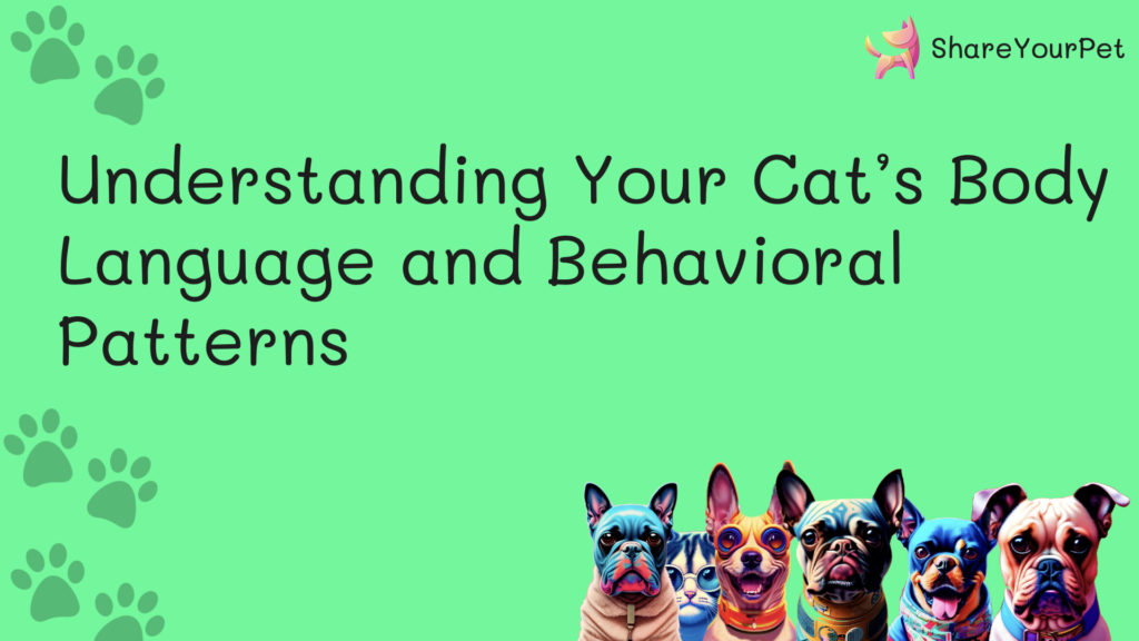 understanding your cats body language and behavioral patterns