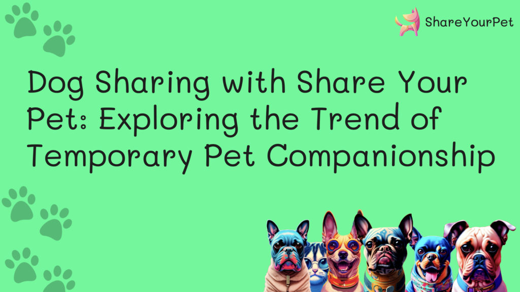 dog sharing with share your pet exploring the trend of temporary pet companionship