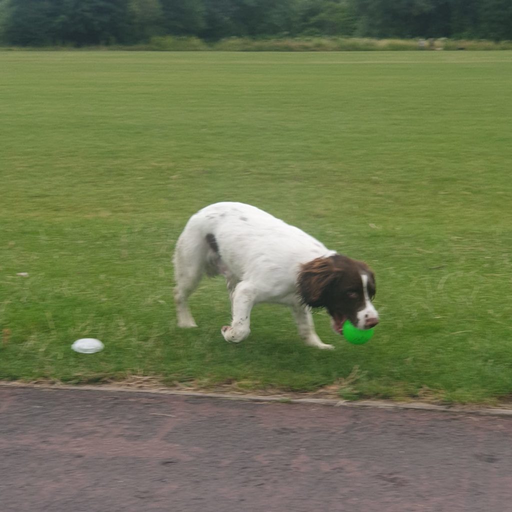 arlo2.jpg