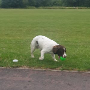 arlo2.jpg