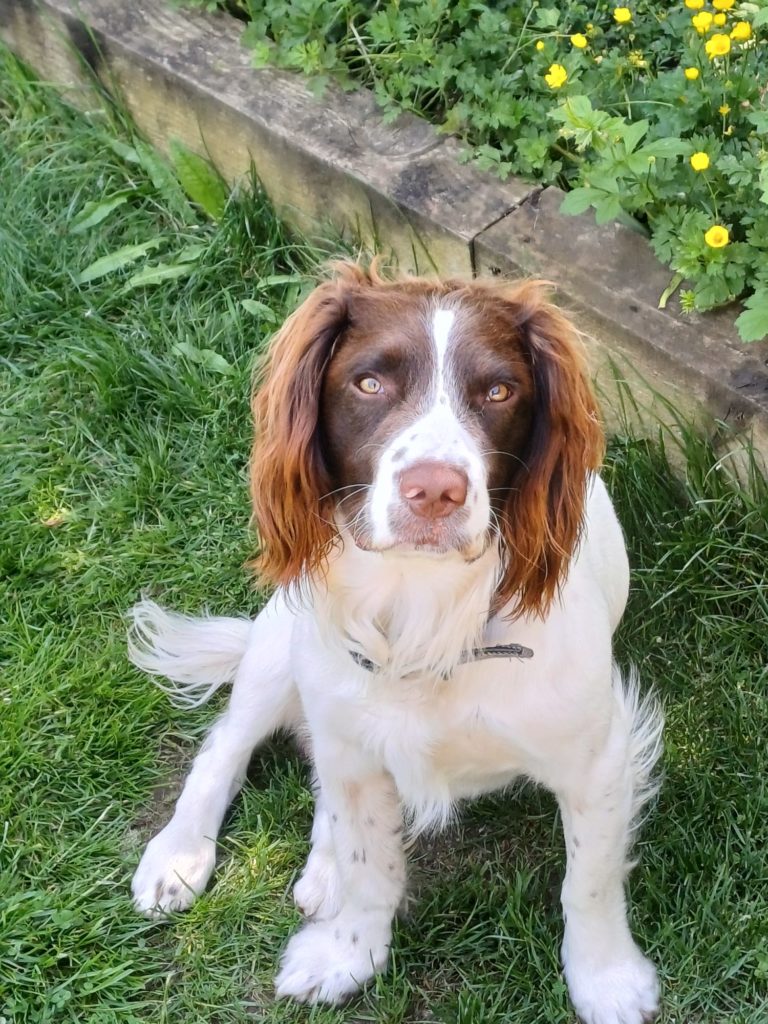 arlo3.jpg