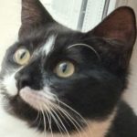 img 3003.jpeg