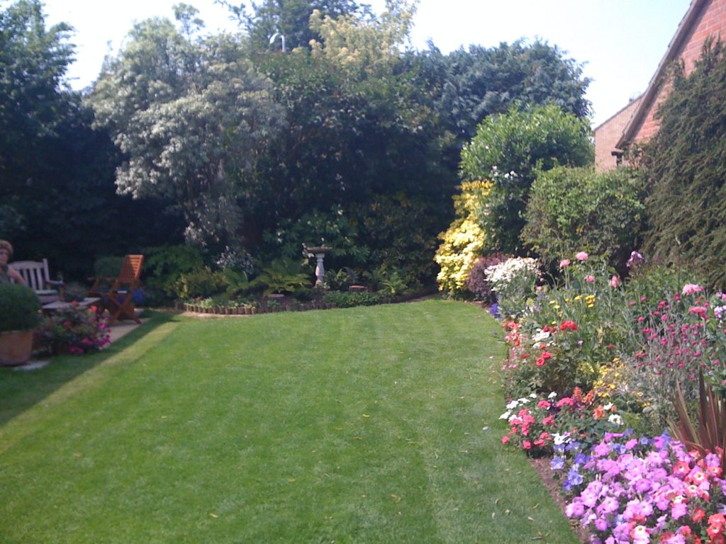 img 0483 1.jpg