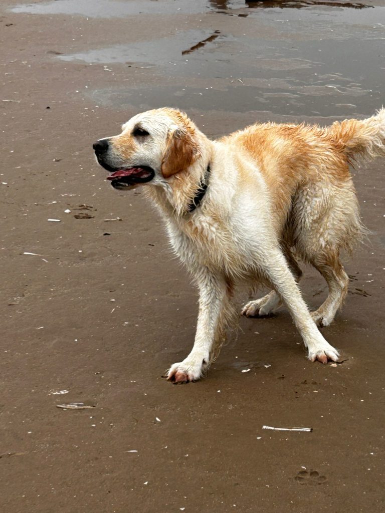 0b3fbdc4 4df5 43e5 b290 39b43d41f4a7.jpeg