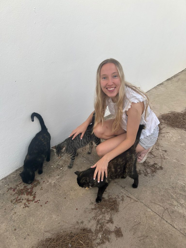 4021eaa1 2559 451a a13f 616d0267c5ad.jpeg