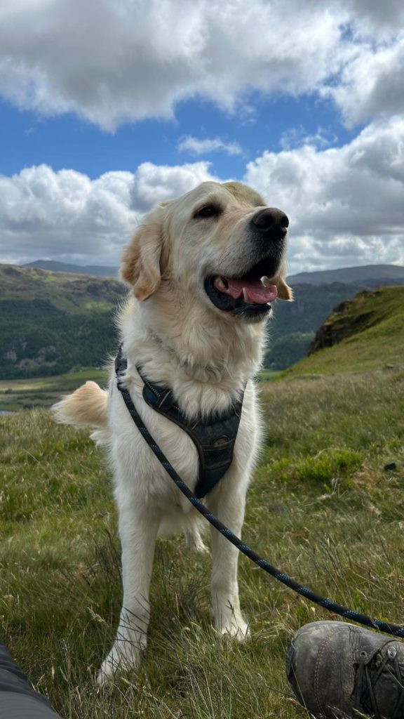 7f59ae35 4143 422b 8176 3e31f59d9432.jpeg