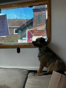 49dafa41 b8e4 4876 a043 54c119325bb6.jpeg