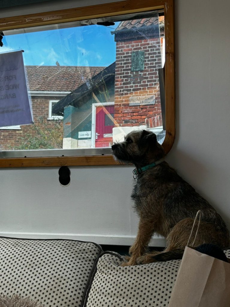 49dafa41 b8e4 4876 a043 54c119325bb6.jpeg