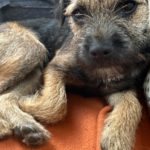 f48b1117 6517 4444 9bc5 b9a07cb3c13f.jpeg