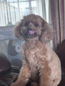 31accd50 4539 4691 8d18 ffb5619eab9f.jpeg