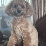 bf5db25e 731d 45b8 a8ea 79df76cd969e.jpeg